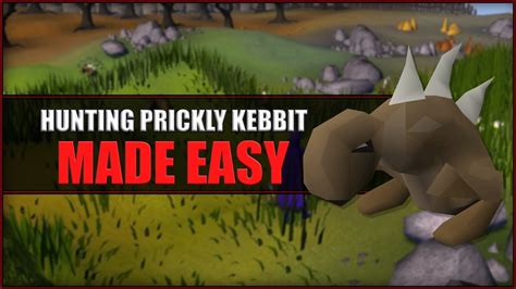 Prickly Kebbit OSRS Beginner Hunting Guide .